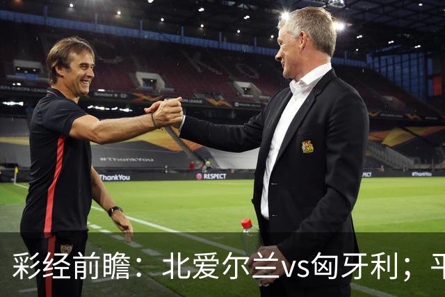 彩经前瞻：北爱尔兰vs匈牙利；平局优先，看好主队不败
